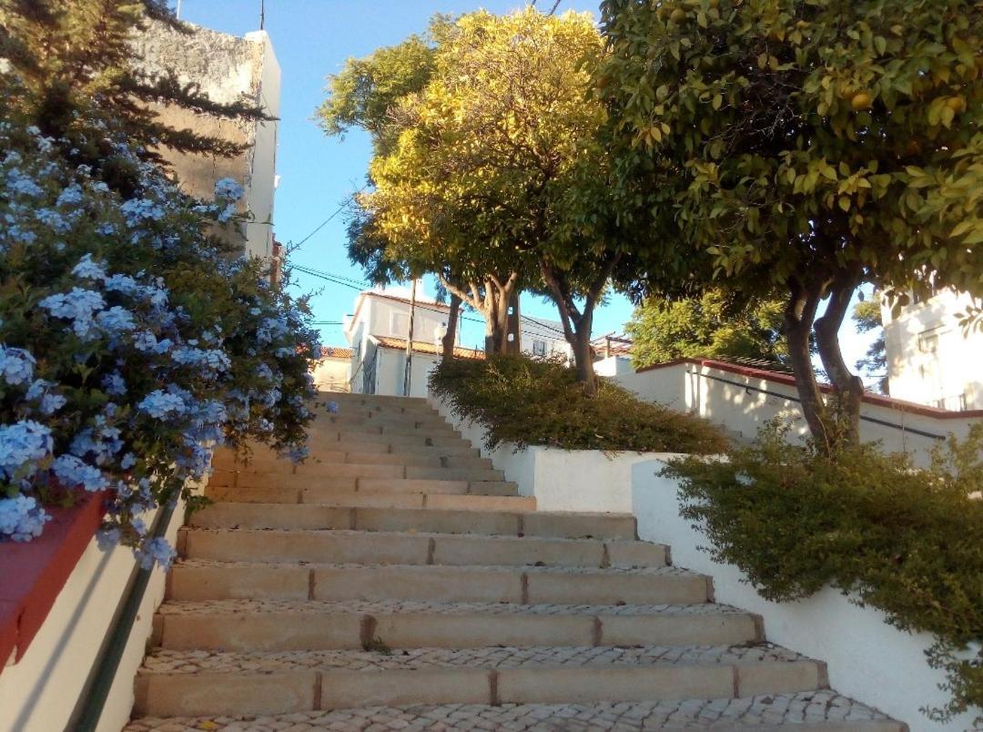 실베스 Casa Pelourinho 빌라 외부 사진